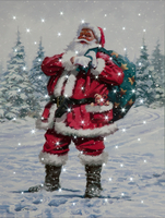 Fibre Optic Santa in Snow Canvas by Richard Macneil 30cm x 40cm