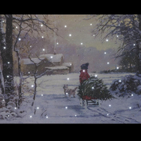 Homeward Bound Illuminated Hanging Canvas