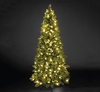 Manitoba Spruce "QuickLight" Slim Christmas Tree