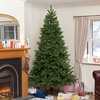 Natural Needle PE Douglas Fir
