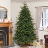 Natural Needle PE Norway Spruce