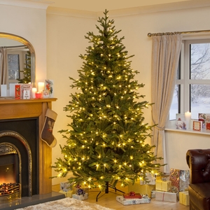 Norway Spruce Warm White LED Christmas Tree