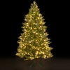 Pre-Lit Ashley Fir Premium Christmas Tree