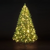 Pre-Lit Carson Spruce Christmas Tree