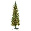 Pre-Lit Deluxe Green Tree with Warm White LEDs