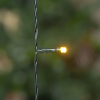 Set of 20 Battery Operated Warm White Lights
