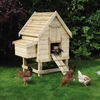 Small Chicken Coop
