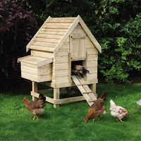Small Chicken Coop