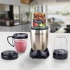 Smart Master Bullet Everyday Blender