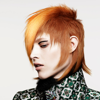 Futurewise: interlocking teardrops florentina (colour) (L