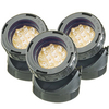 Laguna PowergGlo 12 LED Pond Lights