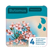 Moerings Butomus Plant in a Basket