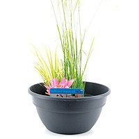 Moerings Patio Planter Blue/Black