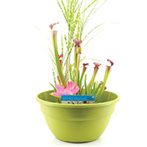 Moerings Patio Planter Green