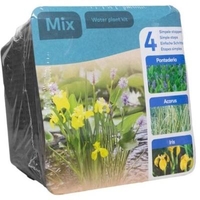 Moerings Waterplants Complete Kit - Trio Plant Mix