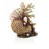 Oase BiOrb Coral-Shells Ornament (Natural)
