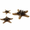 Oase BiOrb Sea Star (Set of 3,  Natural)