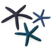 Oase BiOrb Starfish (Set Of 3,  Blue)