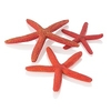 Oase BiOrb Starfish (Set of 3,  Red)