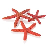 Oase BiOrb Starfish (Set of 3,  Red)