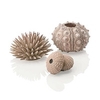 Oase BiOrb Urchins Set (Natural)