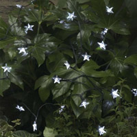 Spotlights & Lighting Equipment  - Smart Solar Star Lights 100 LED