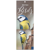 2024 British Birds Slim Calendar and Diary Set