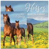 2024 Horses Calendar and Diary Set