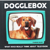 Dogglebox