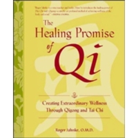 Healing Promise Of Qi
