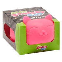 Neon Squeezy Cat: Assorted Fidget Toy
