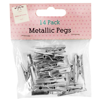 Silver Metallic Pegs: Pack Of 14