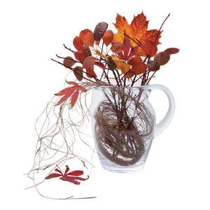 Dartington Flower Garden Gardeners Blossom Jug