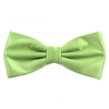 Plain Avocado Green Bow Tie