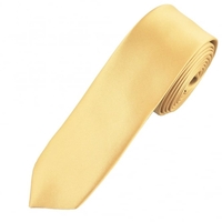 Plain Caramel Gold Boys Skinny Tie