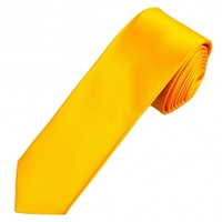 Plain Golden Yellow Boys Skinny Tie