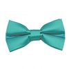 Plain Turquoise Boys Bow Tie