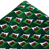 Wales Flag Silk Handkerchief
