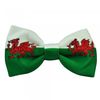Wales Flag Welsh Dragon Bow Tie