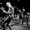 BABYSHAMBLES