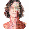 GOTYE