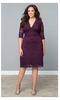 Boudoir Lace Dress in Piercing Plum