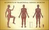 Acupoints of TCM Chart Female