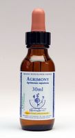 Agrimony