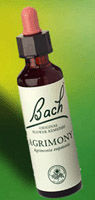 Agrimony