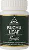 Buchu Leaf 350Mg Powdered Leaf Capsules