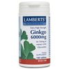 Ginkgo Biloba 6000 (120mg Extra High Strength)