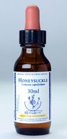 Honeysuckle