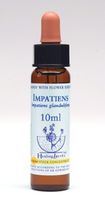 Impatiens