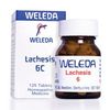 Lachesis 6